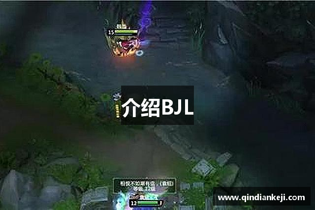 介绍BJL